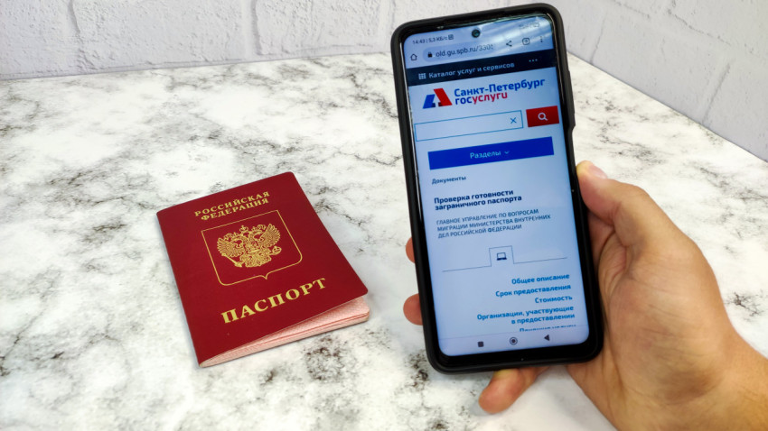 Смартфон с проверкой готовности загранпаспорта и заграничный паспорт РФ