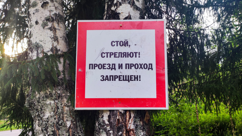 Предупреждающий знак «Стой, стреляют!» на берёзе у лесной дороги