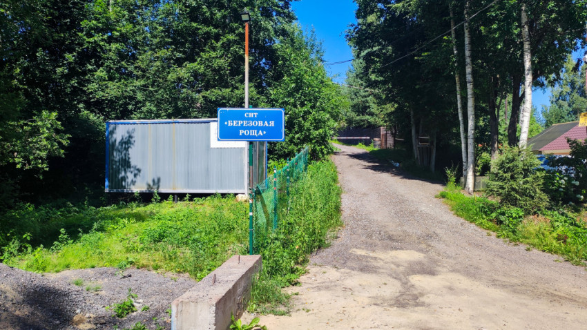 Указатель СНТ «Берёзовая роща» у въезда на гравийную дорогу среди деревьев