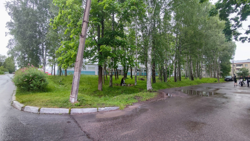 Мокрая дорога и берёзовая роща во дворе после дождя